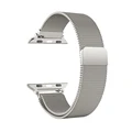 Titanium color