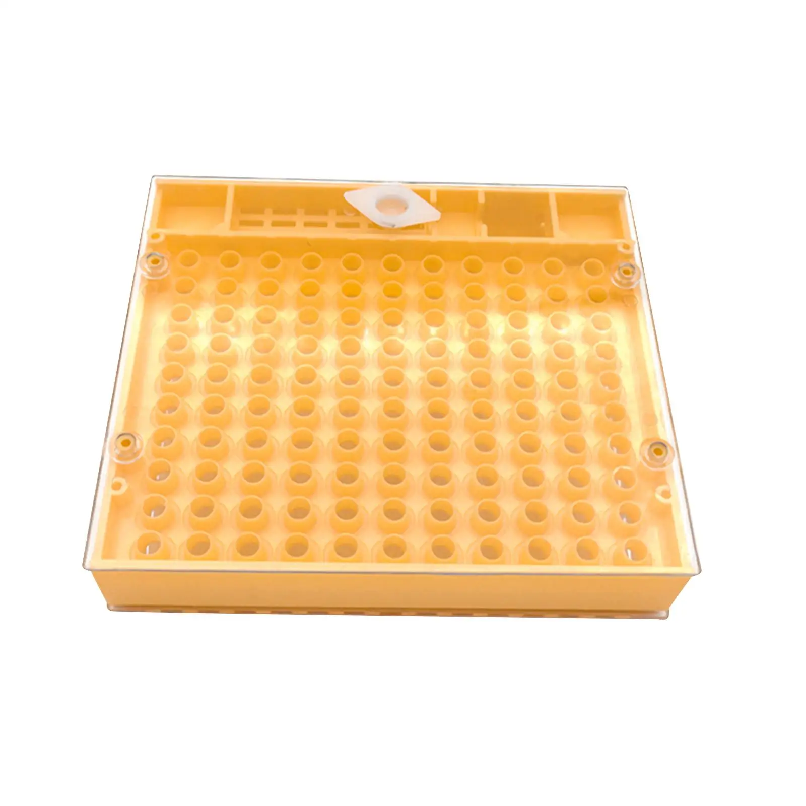 Queen Rearing Box Queen Bee Lay Eggs Cage Multipurpose Beekeeping Rearing Equipment for Outside Gate Apiculture Accessories