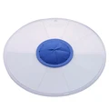 A Blue White 30cm