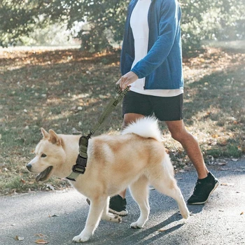 Military Dog Collar Leash Set, Adjustable Nylon Collar w/ Handle & Metal Buckle, Dog Training Gear, Green Color 5