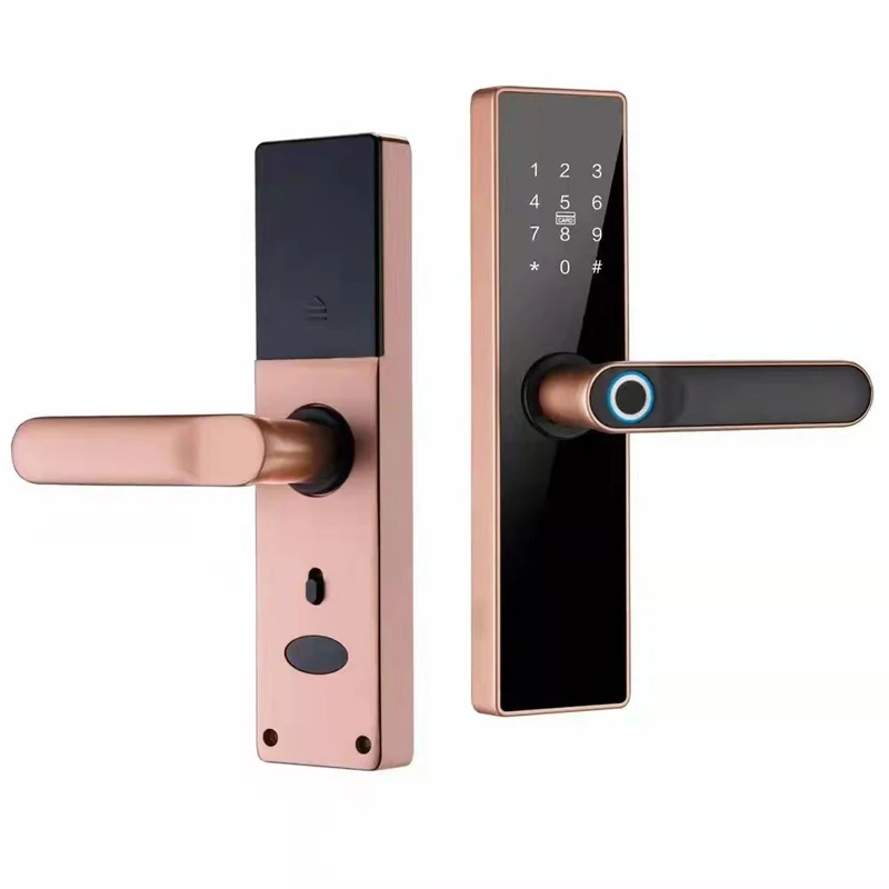 RAYKUBE Tuya Smart Door Lock Wifi Fingerprint Password IC Card Keyless Remotely Unlock Use AA Battery Support 8 Language Voice best electronic door lock