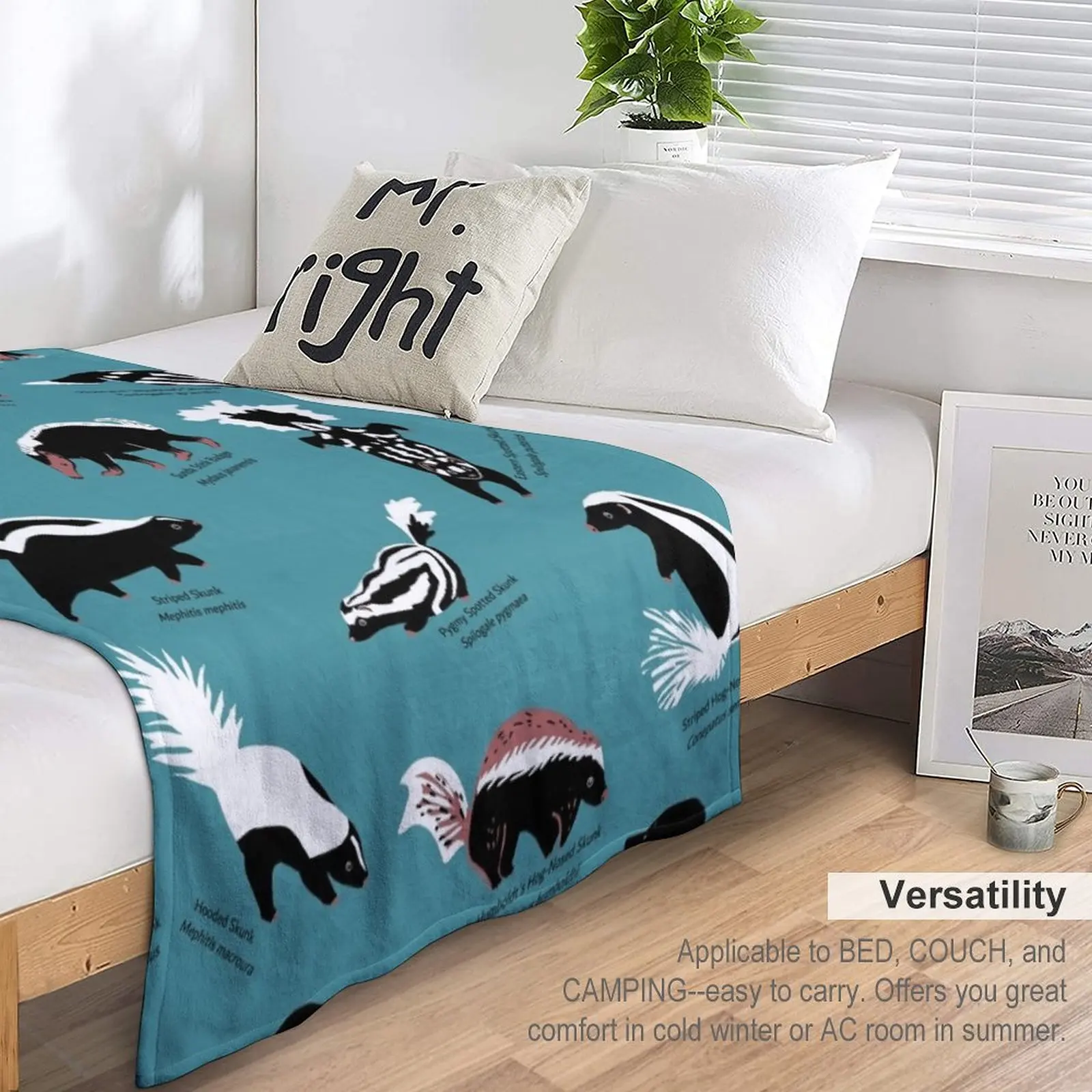 Schunks of the World: ������ ��, Mephitidae ������ ���, ���� ���� ���, �ε巯�� ���� ���� ����