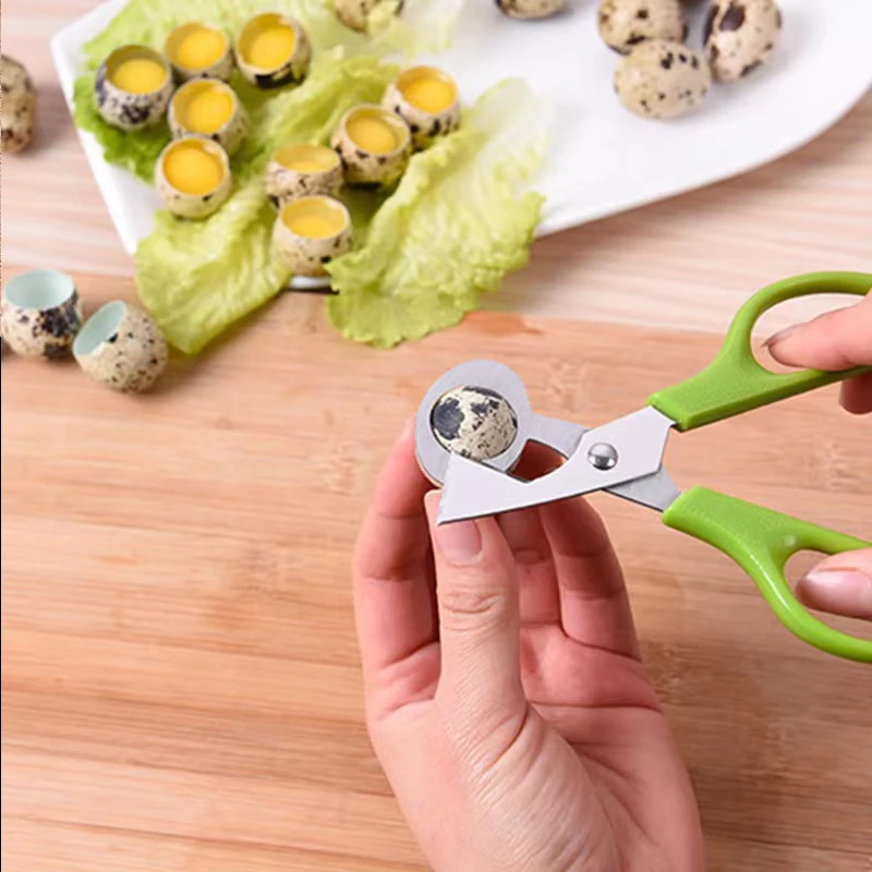 1/2/3/4/5pcs Pigeon Quail Egg scissor Bird Cutter Opener Kitchen Tool Clipper Cigar Cracker Blade 2