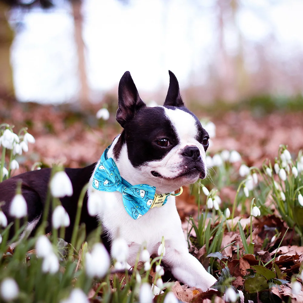 Cute Bowknot Adjustable Nylon Collar Dog Anti-lost - PeticaDeals