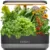 Hydroponics Growing System with 12 Pods