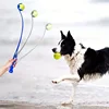 Pet Tennis Ball Launcher Stick - Interactive Outdoor Dog Training Toy, Durable Ball Thrower for Canine Exercise and Play Trainin 5