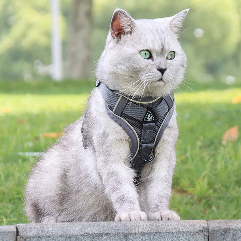 

Pet Harness And Leash Set Reflective Dog Cat Harness Breathable Vest For Puppy Small Medium Dogs Cats Walking Dog Accessories