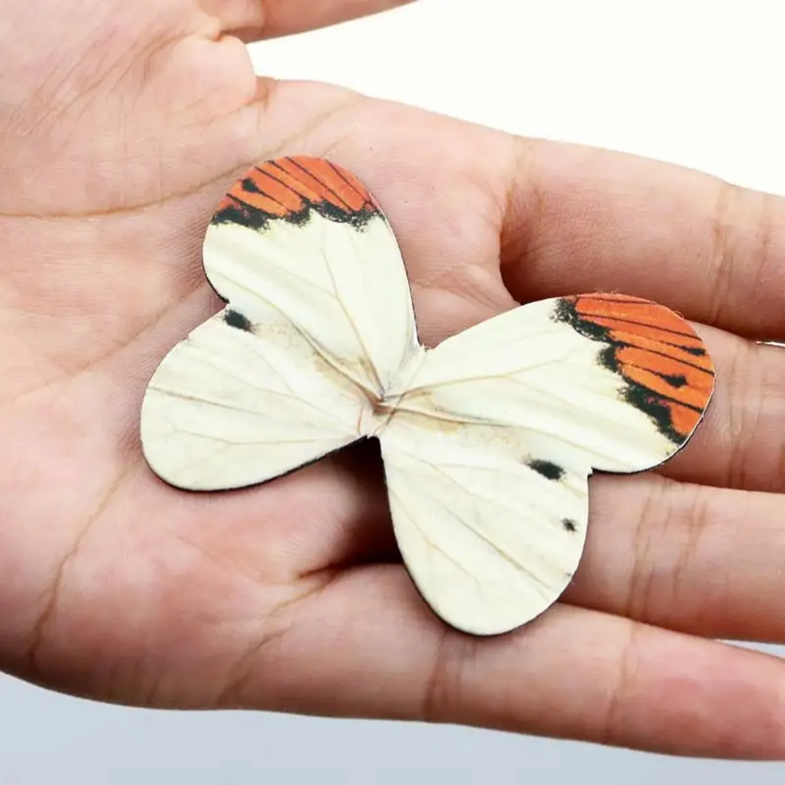 4pcs Cartoon Magnetic Bookmarks Cute Butterfly Shape Student Reading Accessory Marks Book Page Clip Creative Stationery Supplies magnetic bookmark bookmarks stationery supplies