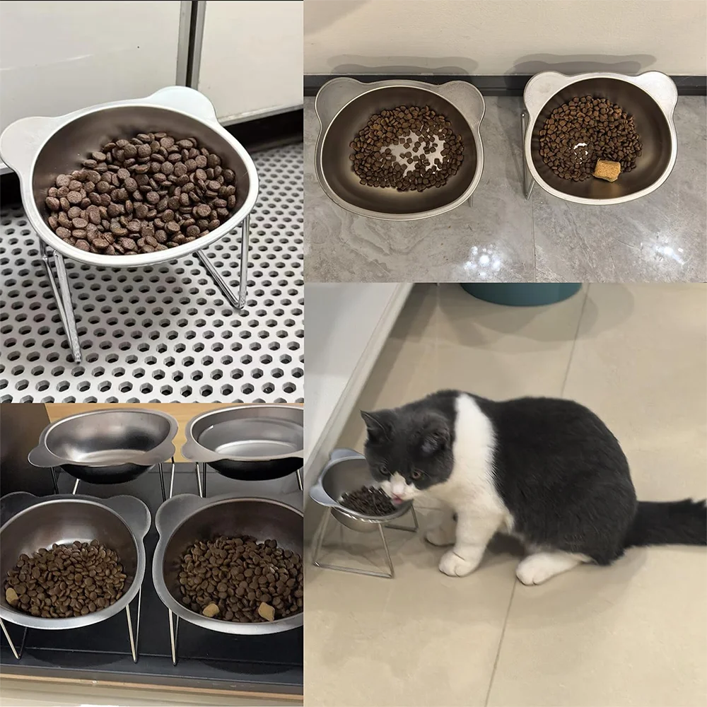 Stainless Steel Cat Bowl 4