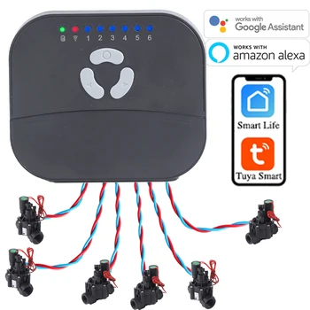 Minuterie d'arrosage pour maison intelligente Tuya, 6 zones, connexion WIFI et contrôleur d'irrigation de jardin, électrovanne d'eau, système de minuterie d'irrigation 1