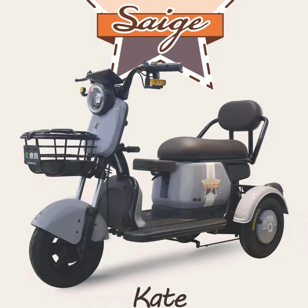 China 3 Wheels Adult Electric Tricycle with Child Seat and Handle Bar EEC Certificate Cheaper E-Trikes Electric Tricycles