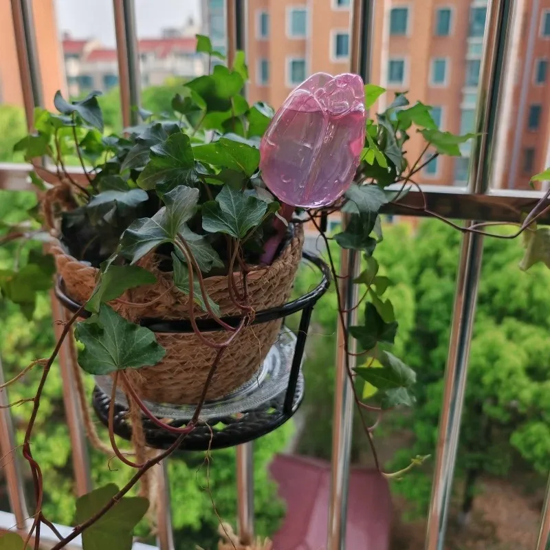 Tulip Self-Watering Globes for Indoor and Outdoor Plants