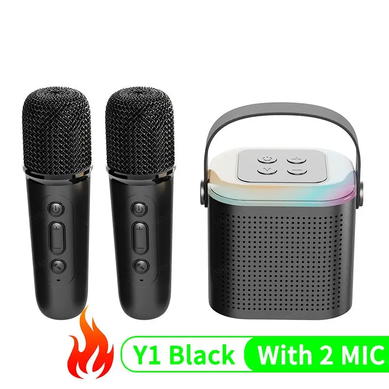 Black With 2 MIC