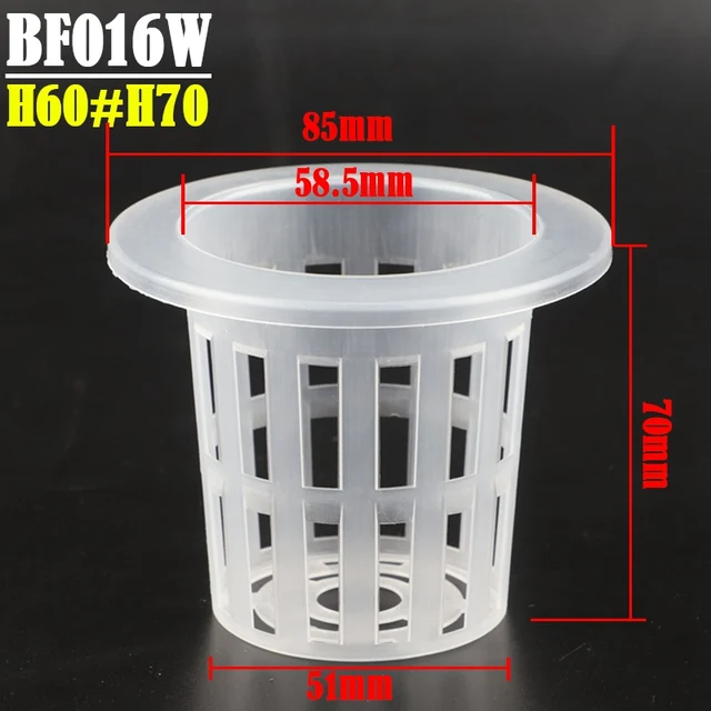 BF016W
