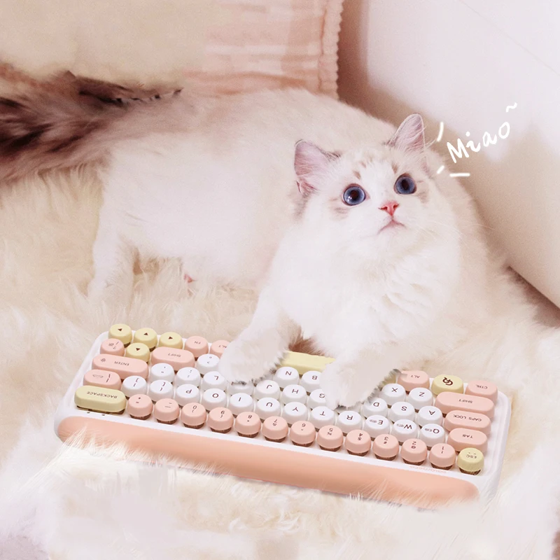 

COLORRECO NAUGHTY CAT NIGHT LIGHT LUMINOUS RGB GAMING MECHANICAL KEYBOARD