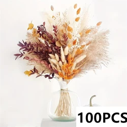 Lush Pampas Grass Bouquets for Elegant Floral Arrangements and Home Decor (A)