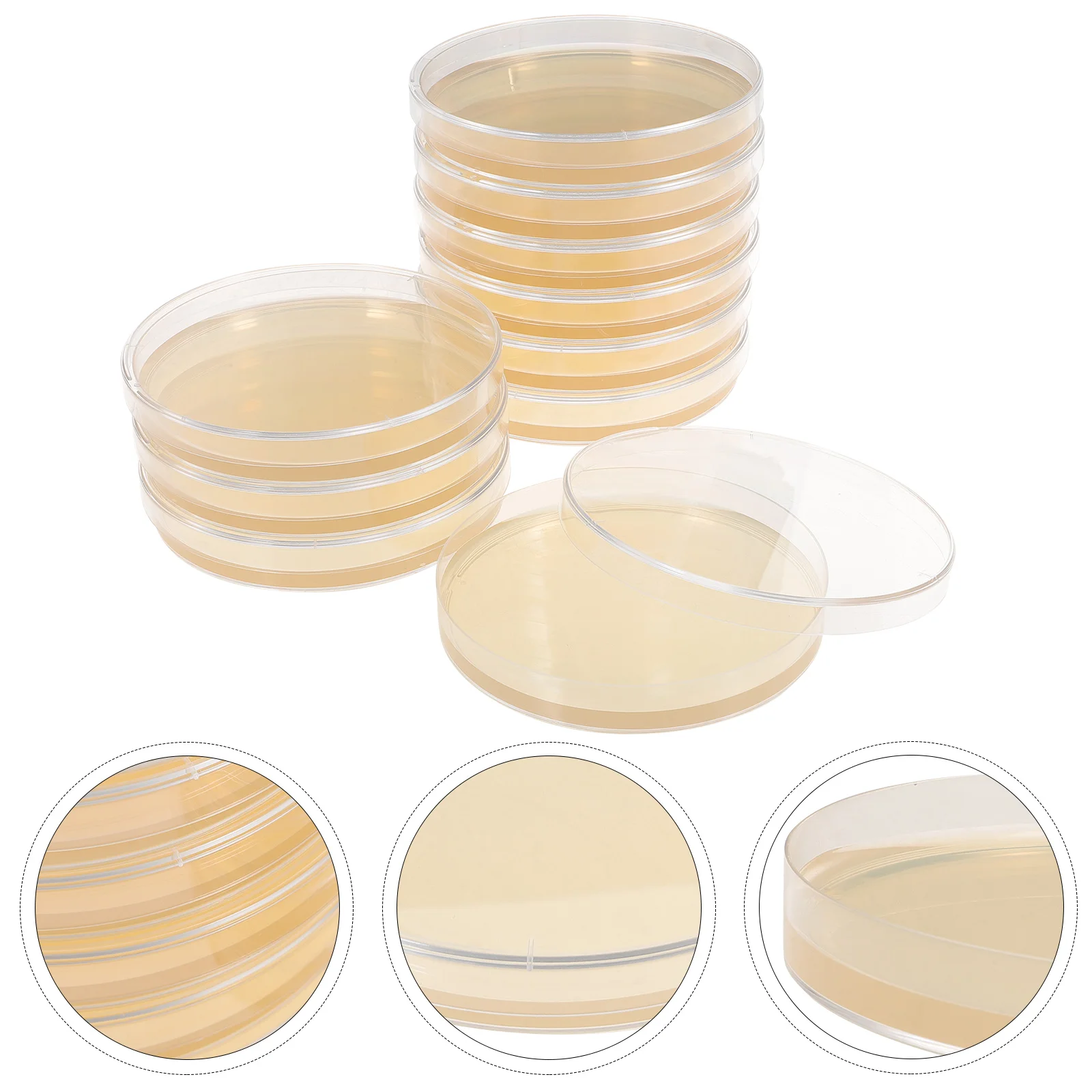 

Agar Petri Dishes Tissue Culture Prepoured Agar Plates Plate Agar Plates Laboratory Science Experiment Supplies