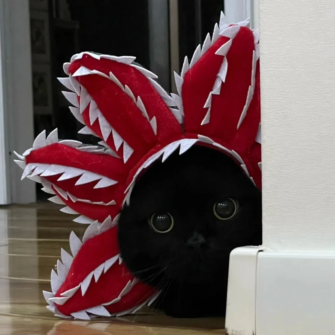 Fun Piranha Costume Pet Hat, Cat and Dog Head Cover, Flower Shaped Winter Pet Warm Hat, Adjustable Size, Pet Clothing  Pet Items