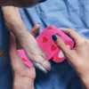 Tattoo Grip Bandage Cover Wraps Tapes Non-woven Waterproof for Pet Self Adhesive Finger Wrist Protection Tattoo Accessories 2
