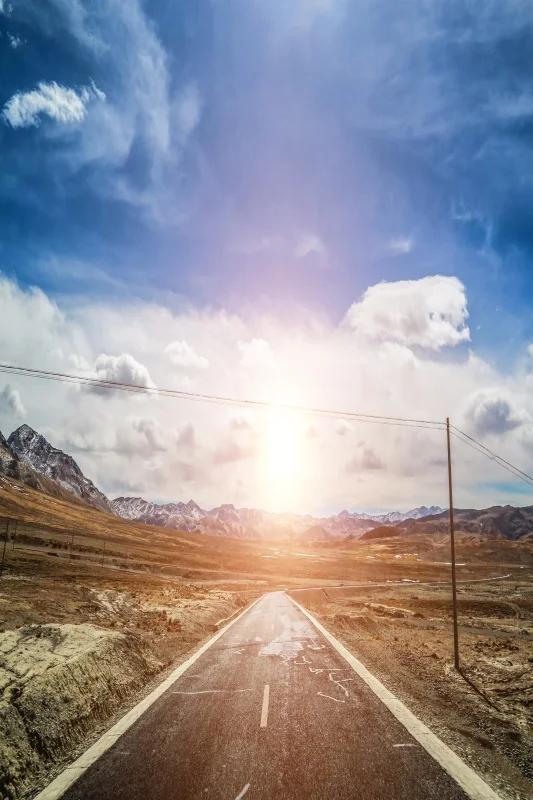 Fondo de fotografía de retrato para niños y adultos con carretera de Laeacco, camino sinuoso sin fin, paisaje natural, campo, árbol frondoso