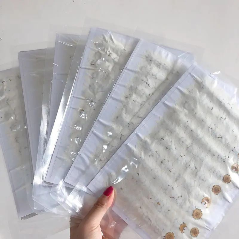 100Pcs Real Natural White Daisy Pressed Flower for Resin Jewelry Nail Stickers Makeup Art Crafts