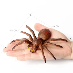 Realistic Insect Figurine Set - Educational Toy Collection (Spider)