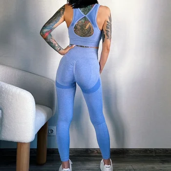 Women's Seamless Yoga Set Hollow Back Bra and Shorts