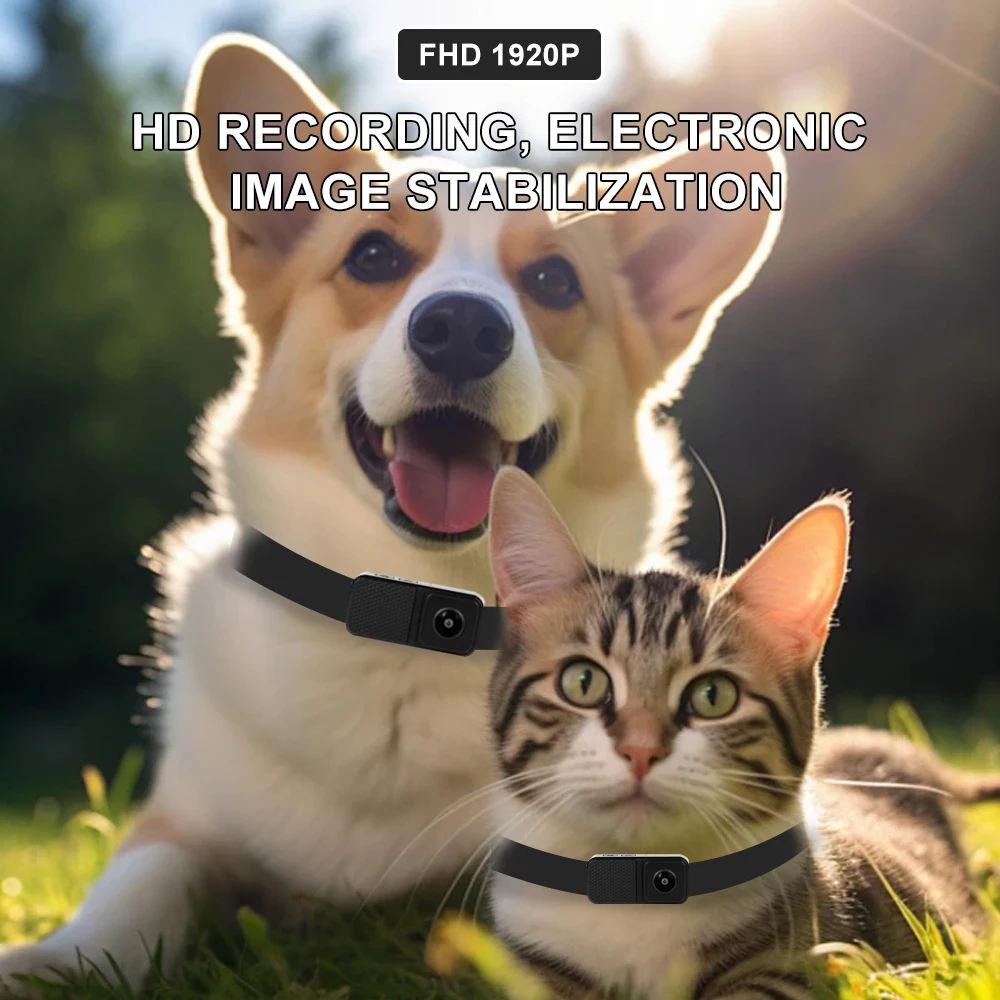 Cat camera collar video and audio 1080P Night Vision Body Camera Recording Sports Action Pet Cameras Dog camera toy 2
