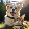 Cat camera collar video and audio 1080P Night Vision Body Camera Recording Sports Action Pet Cameras Dog camera toy 2