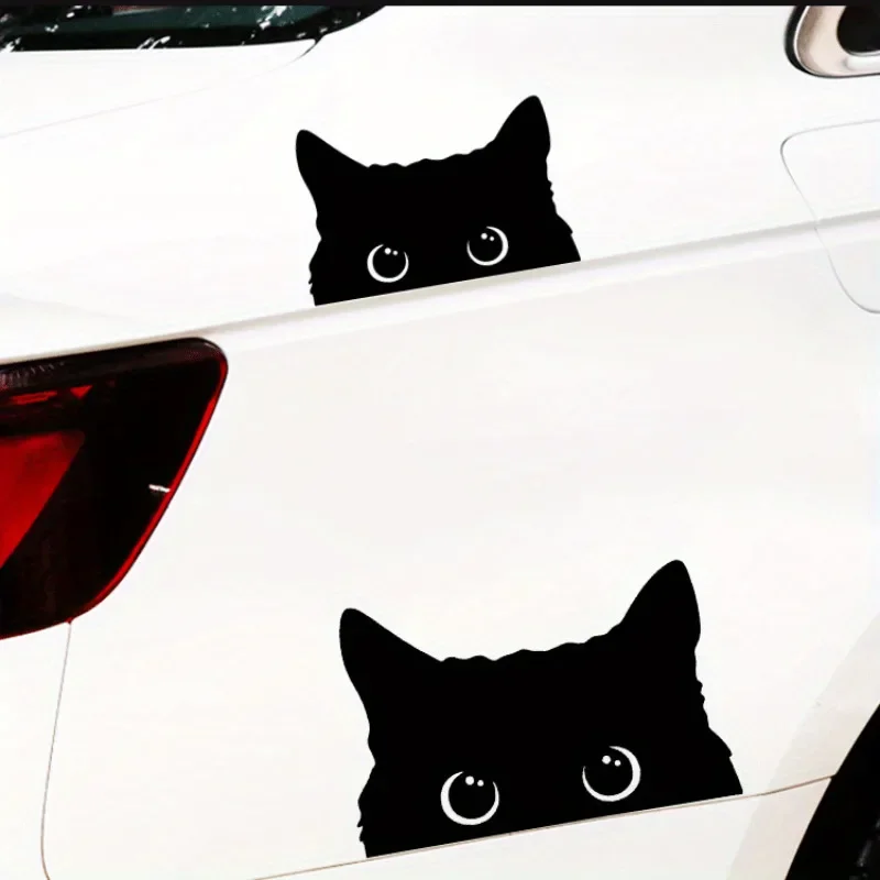 Cute Poor Cat Vinyl Car Sticker 3