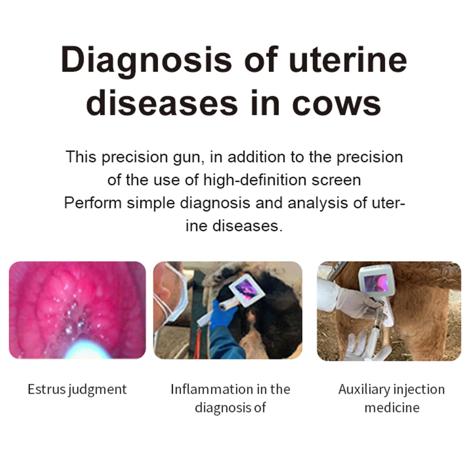 Inseminazione artificiale di mucca Visione Endoscopio Sperma Intelligenza artificiale Pistola Strumento Strumenti di alimentazione veterinaria Fattoria di bovini per cavalli - immagine 3