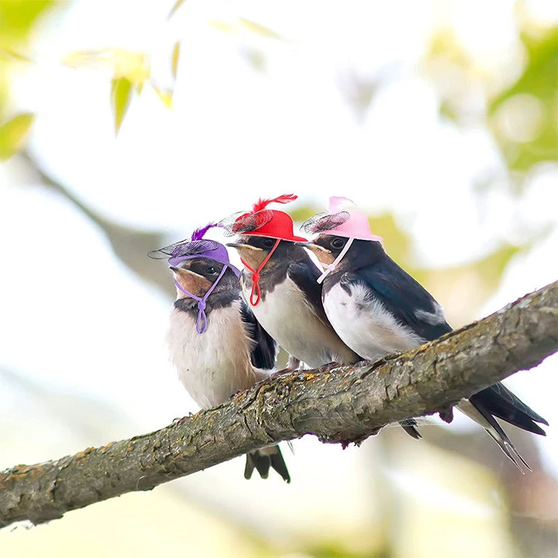 Chicken Hat for Hens Tiny Pets Funny Chicken Accessories Feather Top Hat Rooster Parrot Hamster Poultry Stylish Show Costum