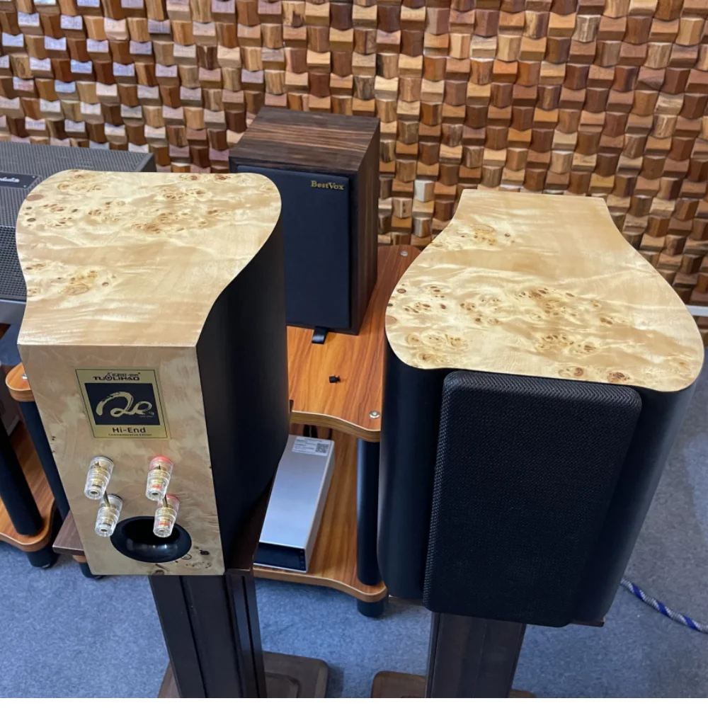 TUOLIHAO Q5 Double Full Range 4'' Driver Spearker Best Vocal Monitor Bookshelf Driver Match Tube Amplifier THQ5