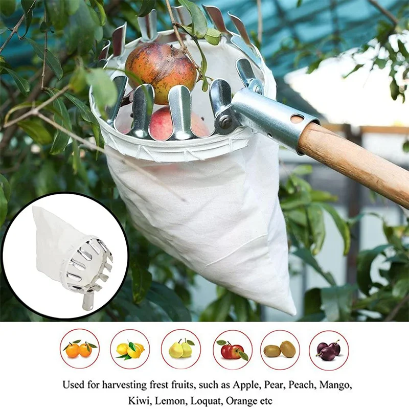 Cueilleur de Fruits en métal, équipement de cueillette de Fruits, outils,  tête de récolte, panier avec sac de transport, Fruits réglables de 5 pieds  - AliExpress
