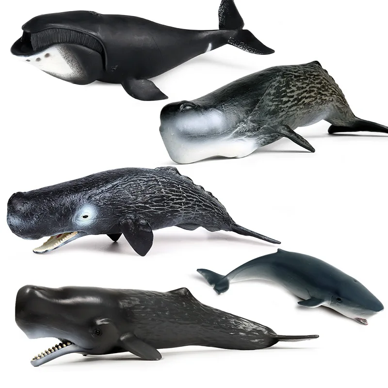 

Simulation of marine biological model Children's early education cognitive toy Sperm whale Shark Plastic accessories