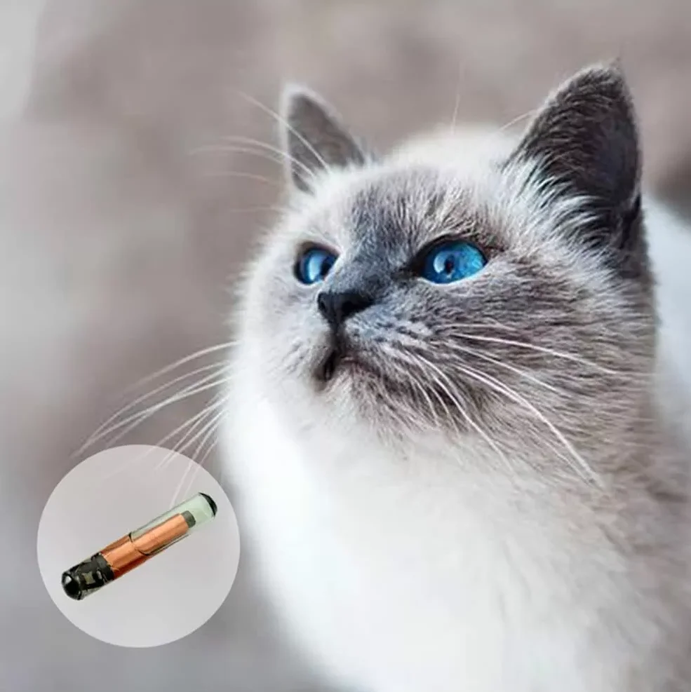 20-100pcs Pet Microchip Animal Chip w/ Injector ID Tag Implants Pig Dog Cat FDX-B ISO