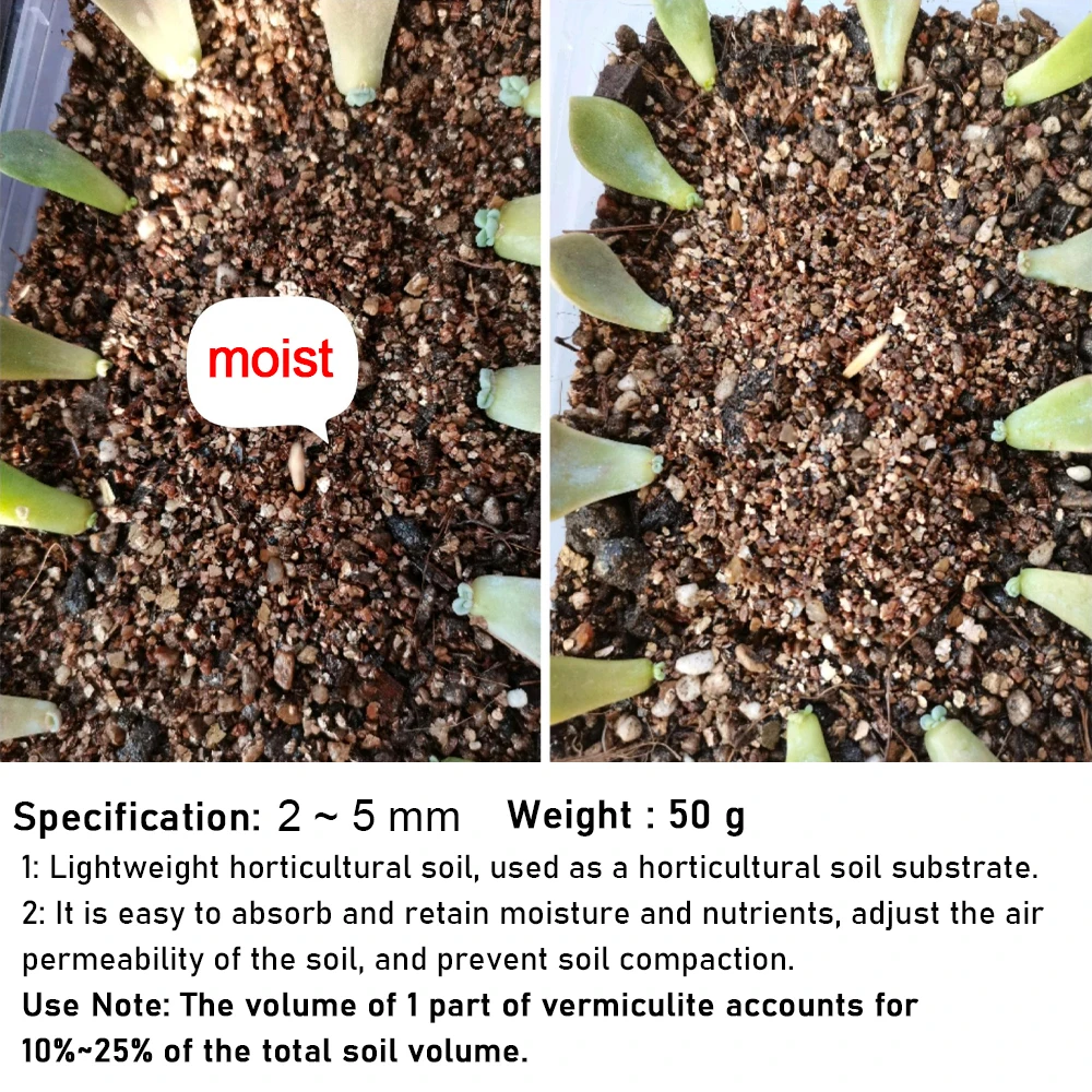 50g Vermiculite Nutrient Soil Substrate For Succulent Planting