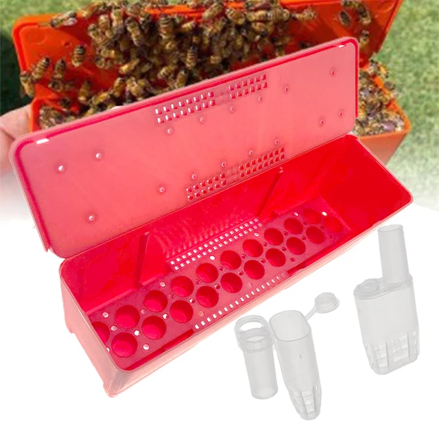 Jzbz Queen Szállítási Akkumulátor Doboz Utazó Tranzitszállító Szállító Átruházás Intrudukciós Ketrecekkel Méhészeti Eszközökkel - Image 4