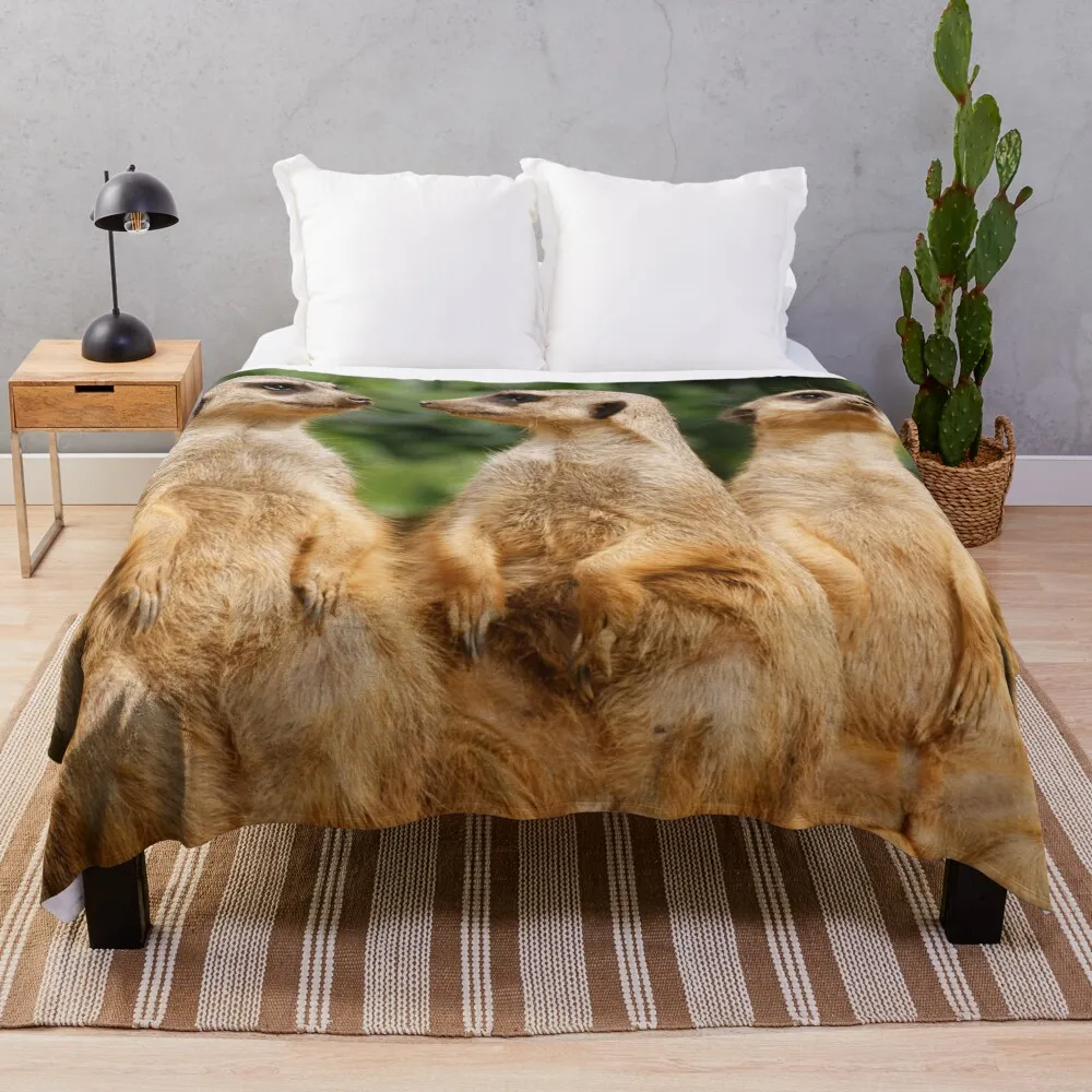 

Meerkat 07 Throw Blanket For Sofa Sofas Luxury Thicken Blanket