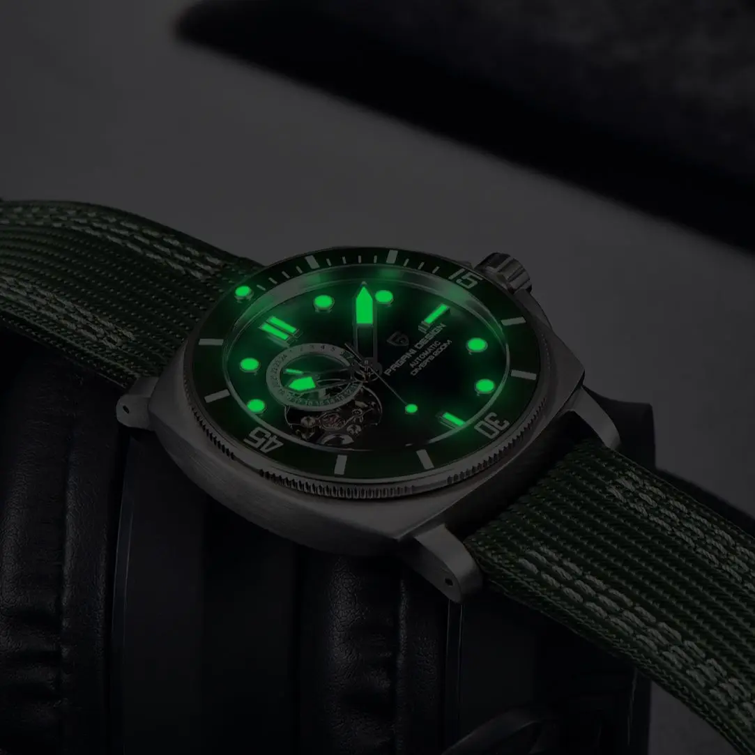 PAGANI DESIGN 1736 Mechanical  Automatic Men‘s NH39 Sports Watches Diving Clock Sapphire Stainless Steel Montre Homme