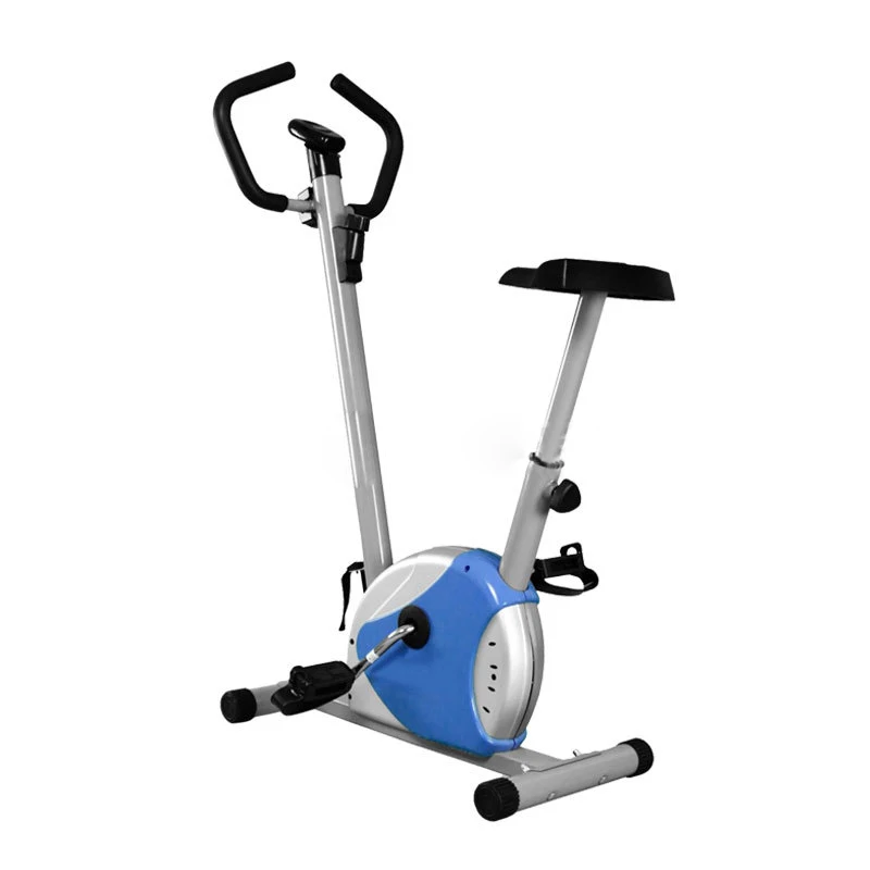 Magnetic Indoor Cycling Bike Home Sport Mute Cyclette Perdere Peso Dimagrante Spinning Bicicletta Attrezzature Per Il Fitness Carico 100Kg