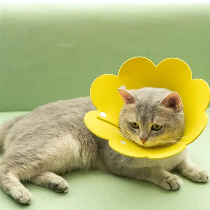 

Sunflower Shaped Cat Elizabeth Collar Anti Bite Wound Healing Protective Cone Protect Neck Ring Kitten Puppy Flower Collars