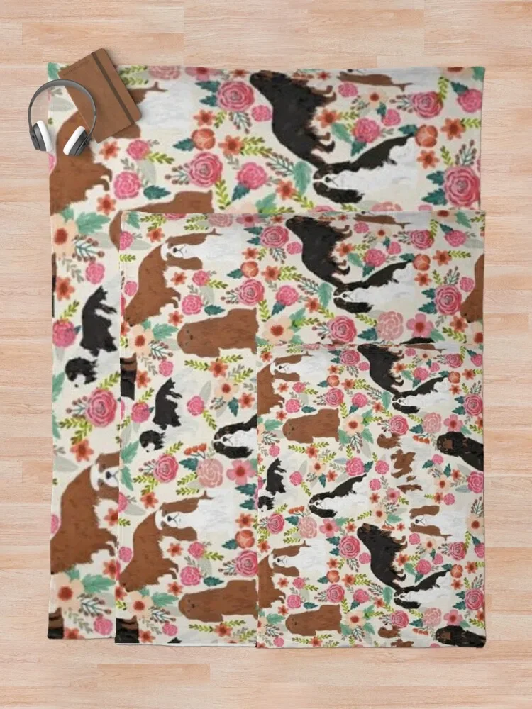 CAVALIER KING ������ ���, ���� ����� �� �ʼ�ǰ, ��Ƽ�� ���