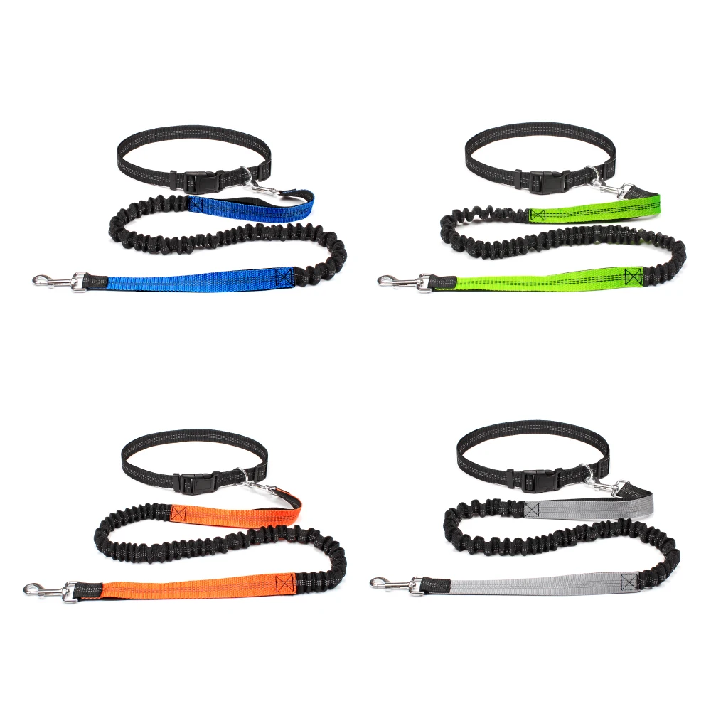 Hands Free Dog Leash 2