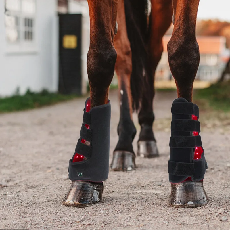 Lumière rouge infrarouge pour animal de compagnie, traction musculaire,  récupération des plaies, jambe de cheval, photothérapie portable,  luminothérapie LED, 1PC - AliExpress
