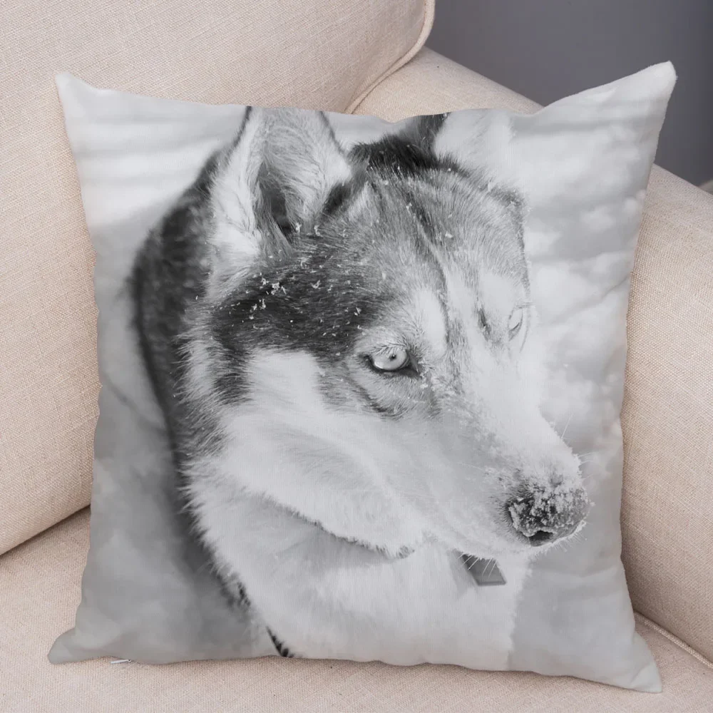 

Cute Pet Dog Printed Pillow Case Decor Siberian Husky Cushion Cover for Sofa Home Super Animal Covers Pillowcase