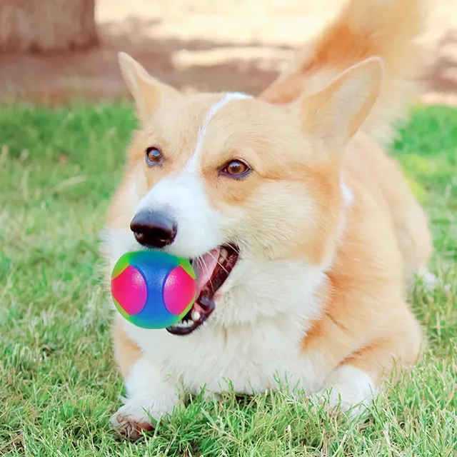 Hot Selling Small Dog Flash Pet Ball TPR Three Color Glowing Elastic Ball Training Interactive Throwing Dog Ball Dog Toys For 3