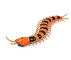 Electronic pet Remote Control simulation Giant IR RC Scolopendra centipede Tricky Prank Scary robotic insect Toy adult kids gift 3