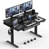 55 * 30 Inches Electric Standing Widened Desk Adjustable Height with 4 Drawers, Double Storage Shelves Stand Up Desk, Home Offic 1