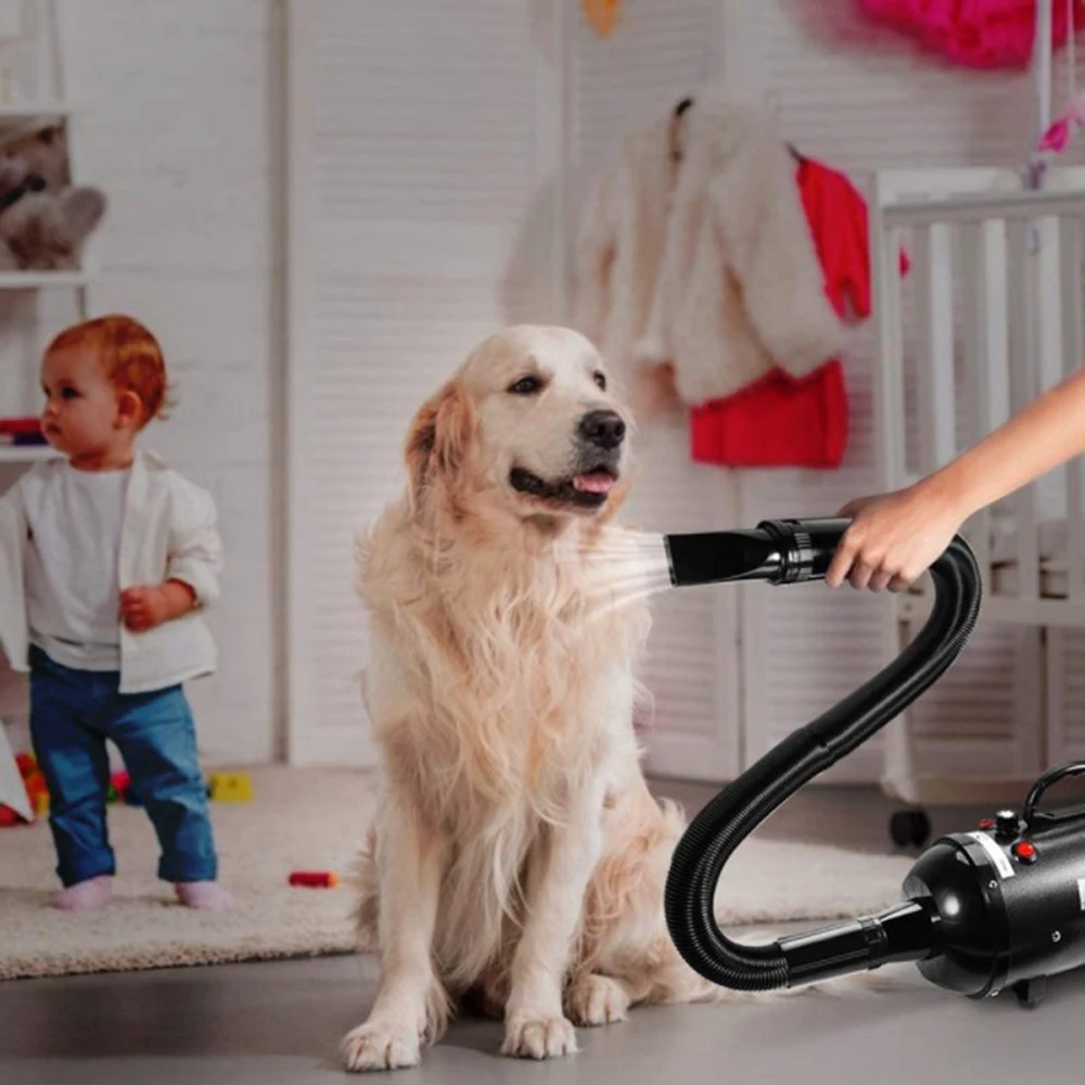 2-In-1Pet Dog Dryer Dog Hair Dryer And Comb Brush Pet Grooming Cat Hair Comb Three Gears Adjustable Fur Blower